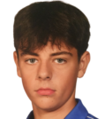 哈留足球学院