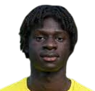 南特